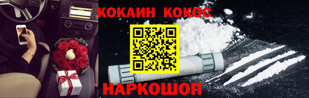 Губкин  COCAIN Fish Scale  COCAIN  Вход с VPN 