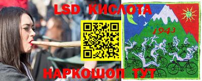 стаф Бийск