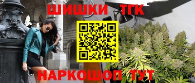стаф Бийск