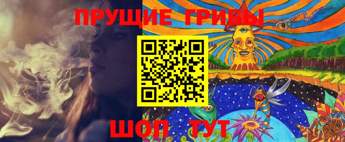 Галлюциногенные грибы Cubensis  Вход с VPN  Губкин  Псилоцибиновые грибы мухоморы 